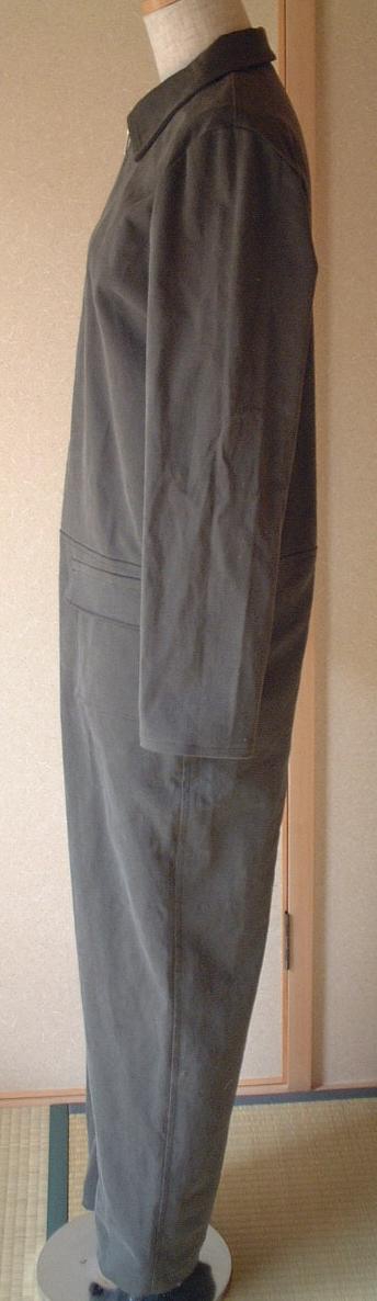 横から見たところ