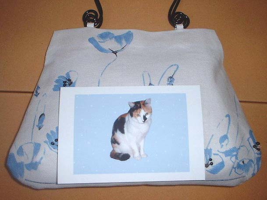 上にのっているのはハガキです。大きさの参考に。