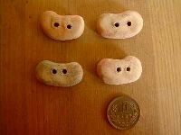豆がたです。ちょっと重いかも?
