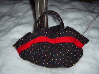 前からぎょうざバッグがほしかったので作ってみました。
めずらしくすごい雪だったので外で！