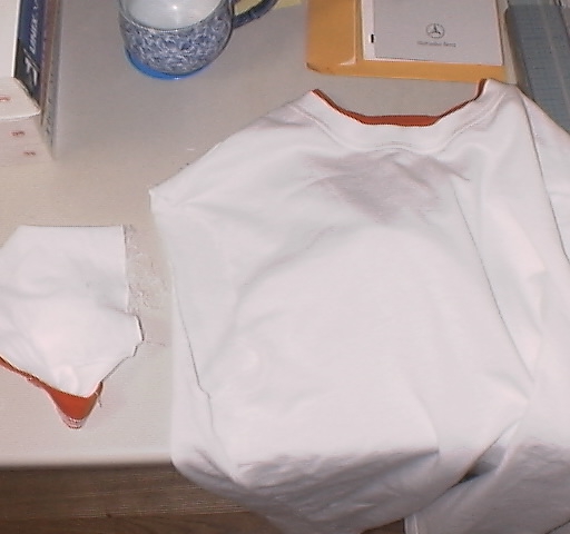 ということで 作業開始 今回はノースリーブにしようと思うので Tシャツの袖を切断！